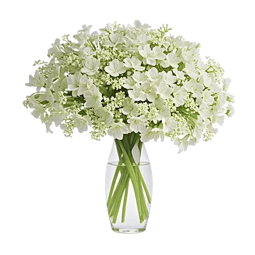 Ivory Blossom Radiance