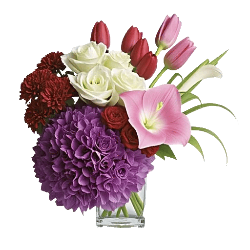 Ivory Blossom Radiance