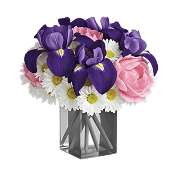 Ivory Blossom Radiance