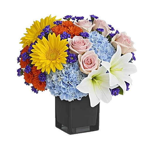 Petal Radiance Bliss