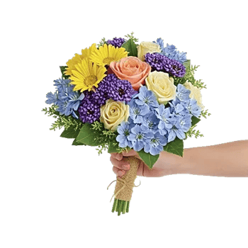 Petal Harmony Bliss