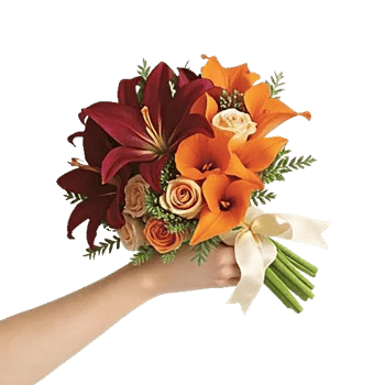 Elegant Calla Lilies