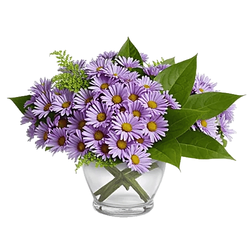 Lavender Bloom Grace