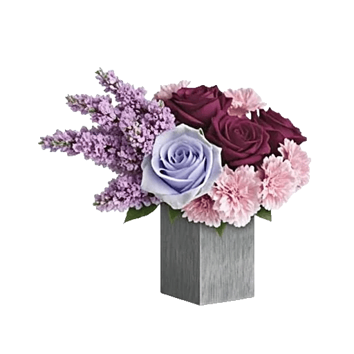Lavender Bloom Grace