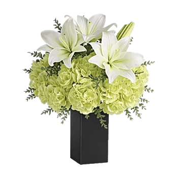 Ivory Blossom Radiance