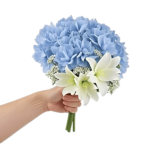 Serene Petal Harmony