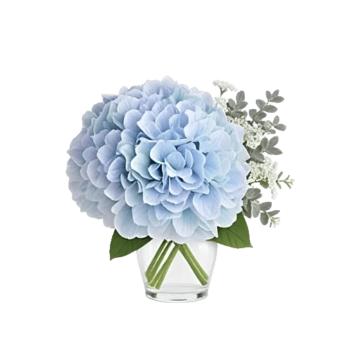 Sapphire Bloom Whisper