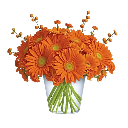 Vibrant Orange Delight