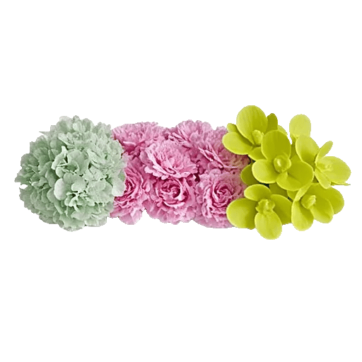 Ivory Blossom Radiance