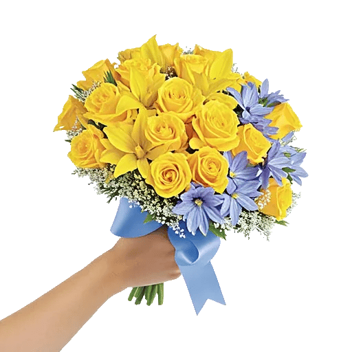 Blossom Harmony Display