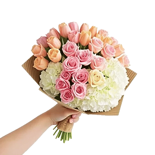 Petal Grace Harmony