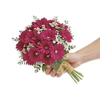 Delicate Petal Cascade