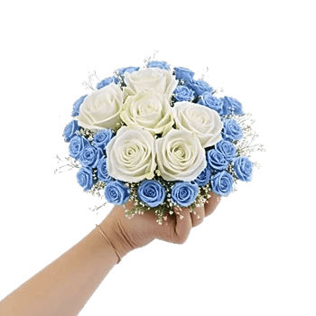 Elegant Blue Roses