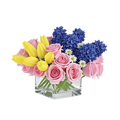 Velvet Tulip Display