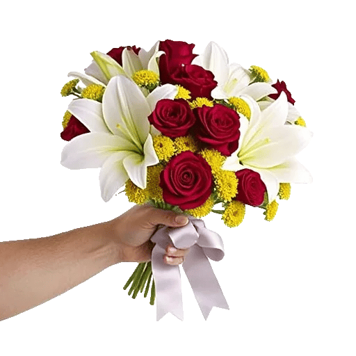 Crimson Rose Elegance
