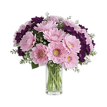 Petal Radiance Bliss