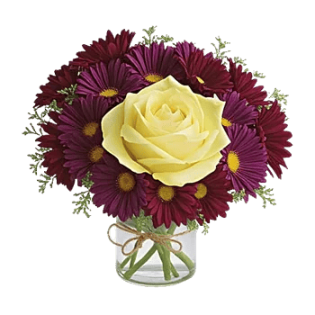 Delicate Petal Cascade