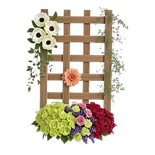 Ivory Blossom Radiance