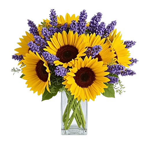 Radiant Bloom Cascade