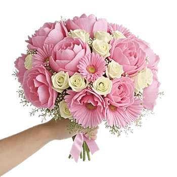 Peony Petal Harmony