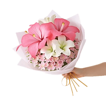 Blushing Rose Symphony