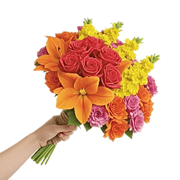 Blossom Glow Symphony