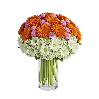 Vibrant Orange Delight