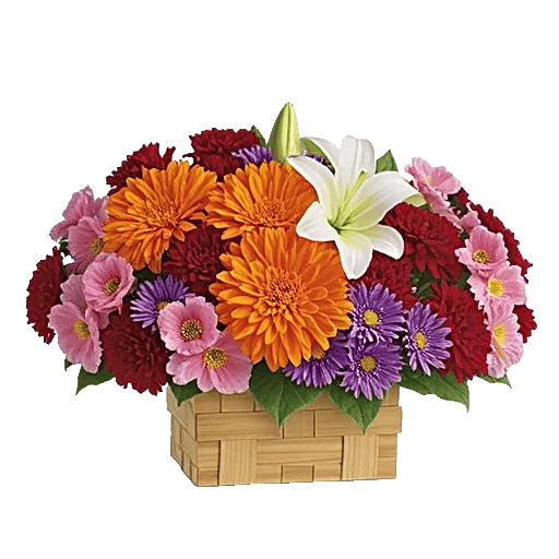 Vibrant Orange Delight