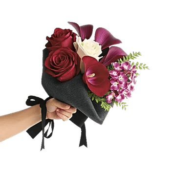 Crimson Rose Elegance