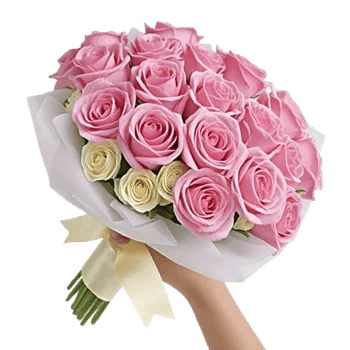 Blushing Rose Symphony