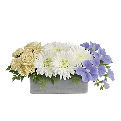 Serene Petal Harmony