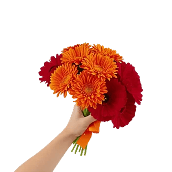 Vibrant Orange Delight