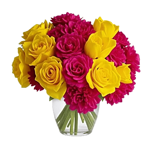 Petal Radiance Bliss