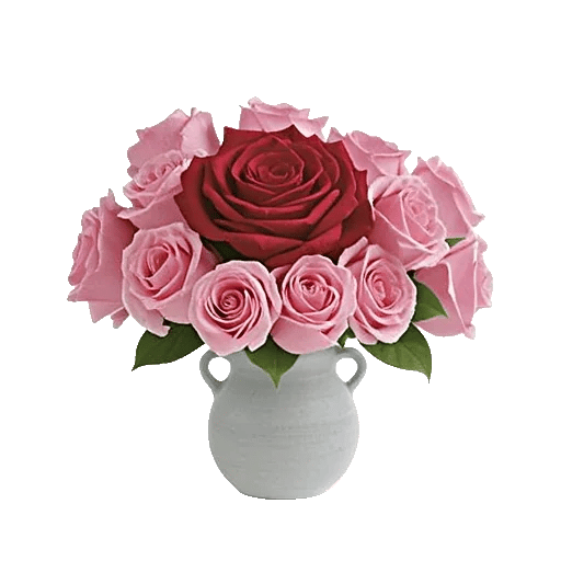 Radiant Rose Symphony