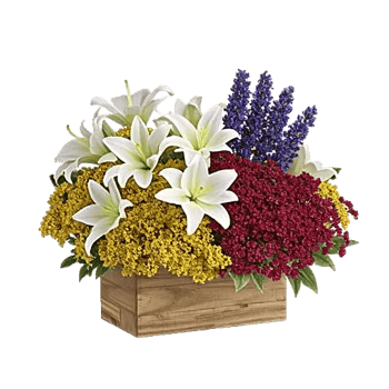 Frosted Lily Spread
