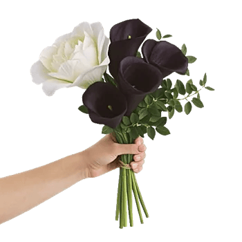 Elegant Calla Lilies