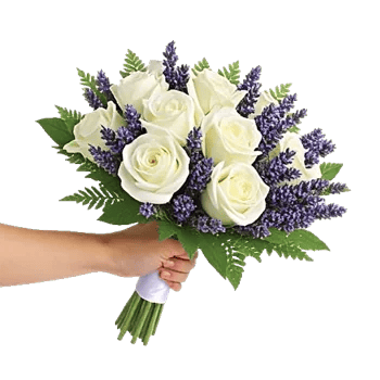 Rosemary Bloom Elegance