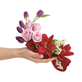 Velvet Tulip Display