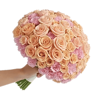 Peony Petal Harmony