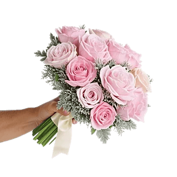Pastel Pink Roses