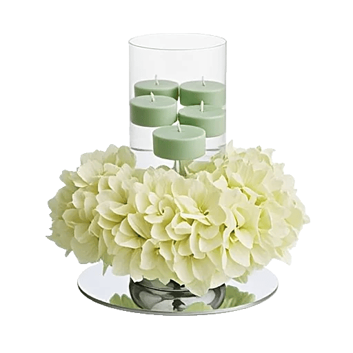 Ivory Blossom Radiance