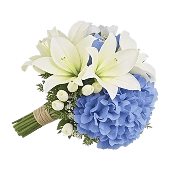 Ivory Blossom Radiance