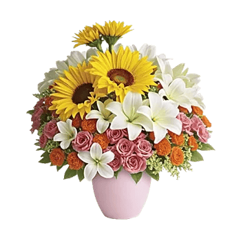 Petal Radiance Bliss