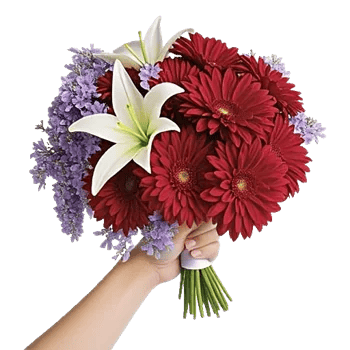 Ivory Blossom Radiance