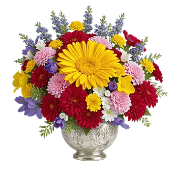 Golden Bloom Radiance