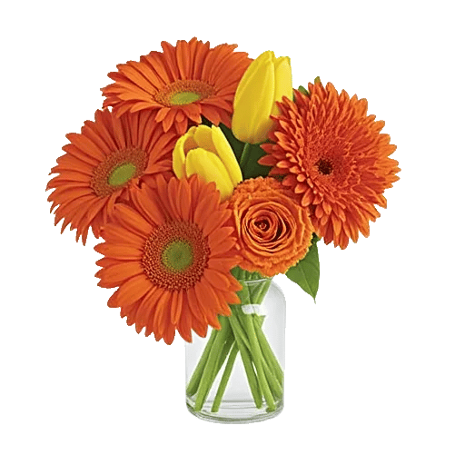 Radiant Petal Display