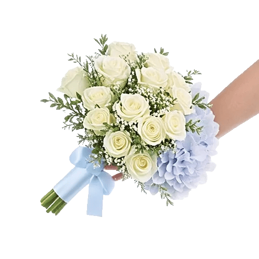 Serene Petal Harmony