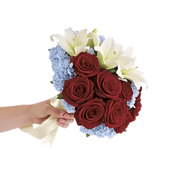 Crimson Rose Elegance