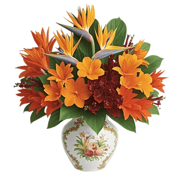 Petal Radiance Bliss