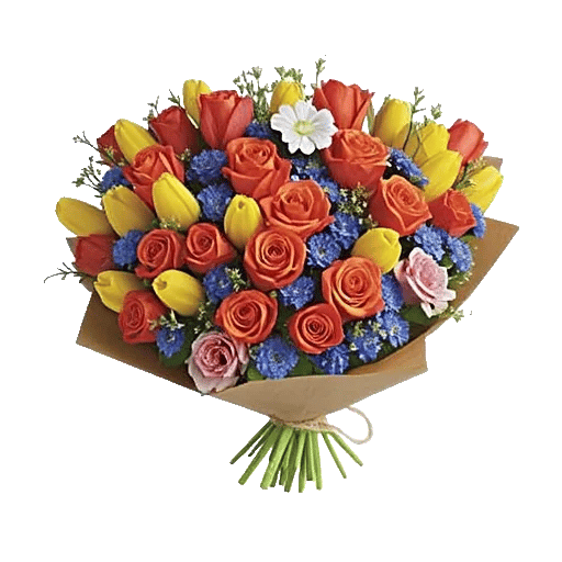 Coral Blossom Harmony